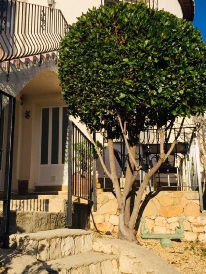 One Bed Apartment Overlooking Jalon Valley, Costa Blanca Alcalalí Dış mekan fotoğraf