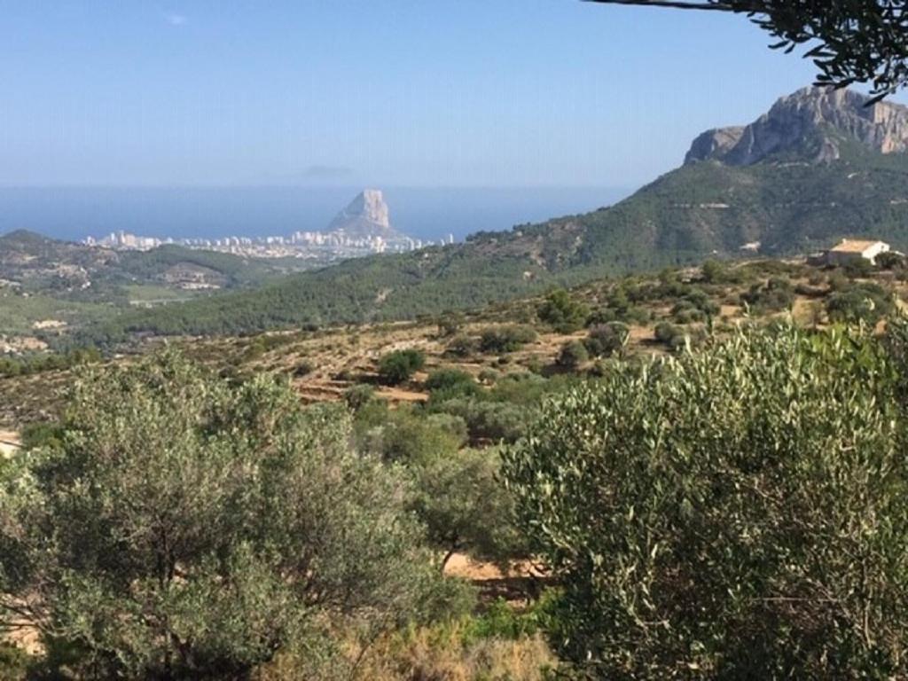 One Bed Apartment Overlooking Jalon Valley, Costa Blanca Alcalalí Dış mekan fotoğraf